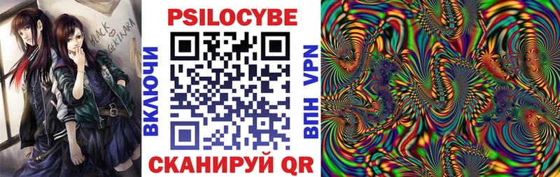 Галлюциногенные грибы Psilocybe  Купить  Новоалтайск 